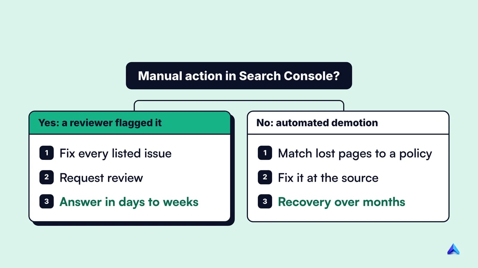 Decision flow after a spam update drop: manual action means fix and request review; otherwise find the policy, fix, and wait months